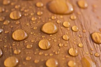 Water beading on freshly sealed wood